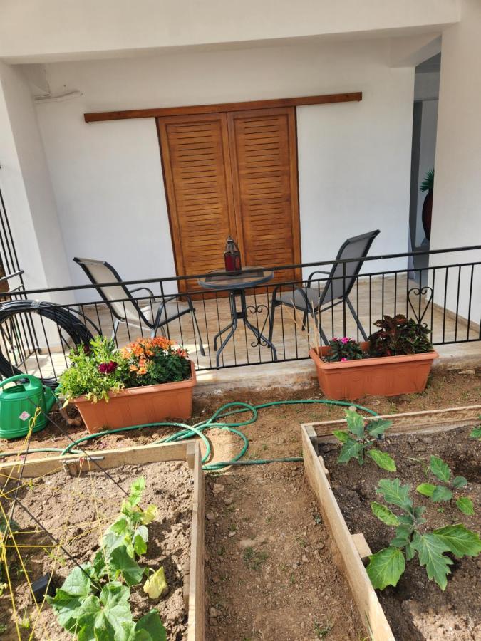 Cozy Apartment In נאה קיוס מראה חיצוני תמונה